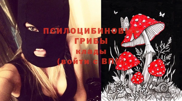 мескалин Балахна