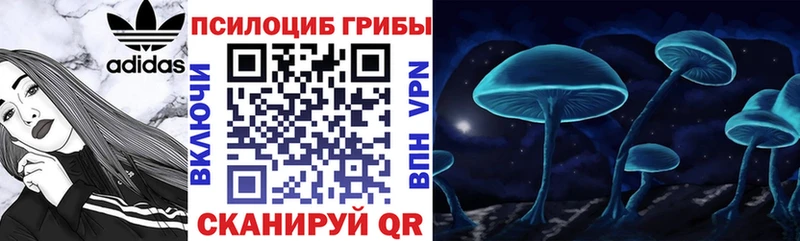 Псилоцибиновые грибы GOLDEN TEACHER  купить   Новотроицк 